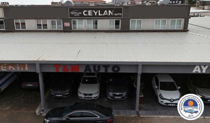 T&M AUTO